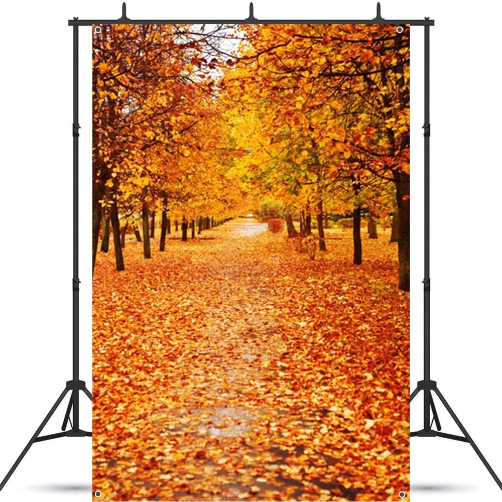 Amazon | Qinunipoto 秋の背景 紅葉の森 撮影 背景 1x1.5m 秋の風景